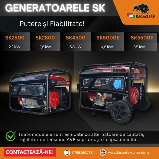 Generatoarele SK de la Bisonte –  Putere si Fiabilitate!