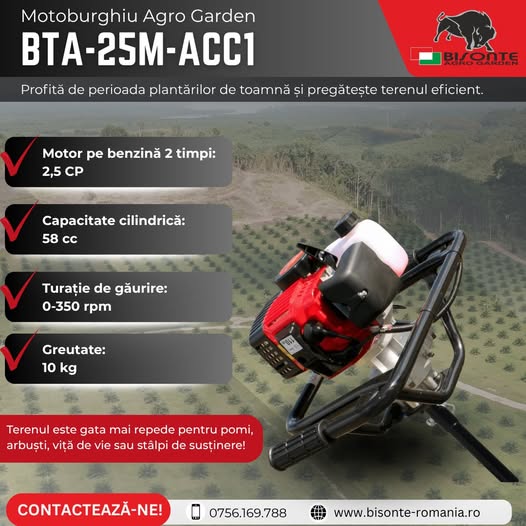 Octombrie este una dintre lunile potrivite pentru plantările de toamnă